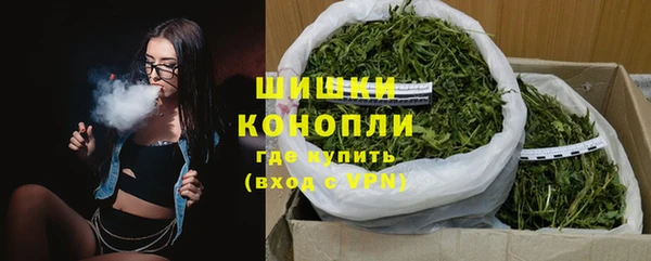 гидра Арсеньев
