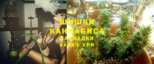 дмт Абаза