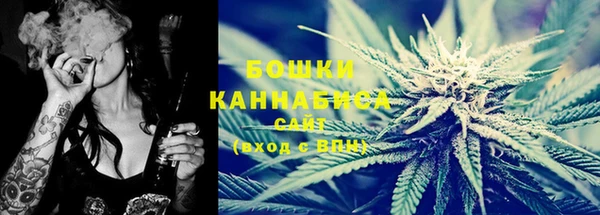 гидра Арсеньев