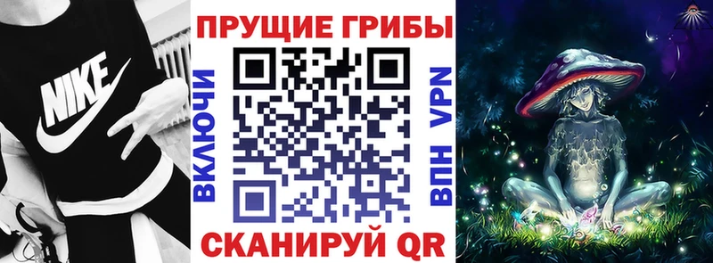 как найти закладки  KRAKEN зеркало  Псилоцибиновые грибы мухоморы  Брянск 