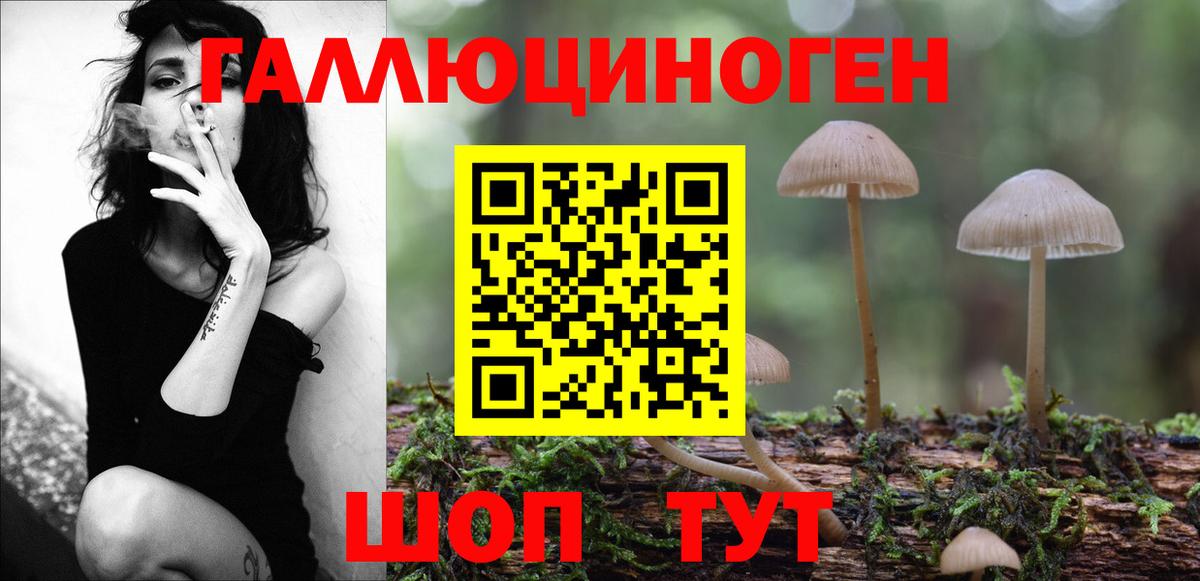 Брянск  Псилоцибиновые грибы Psilocybe  Вход с VPN 